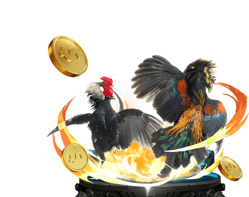 Xác minh tài khoản