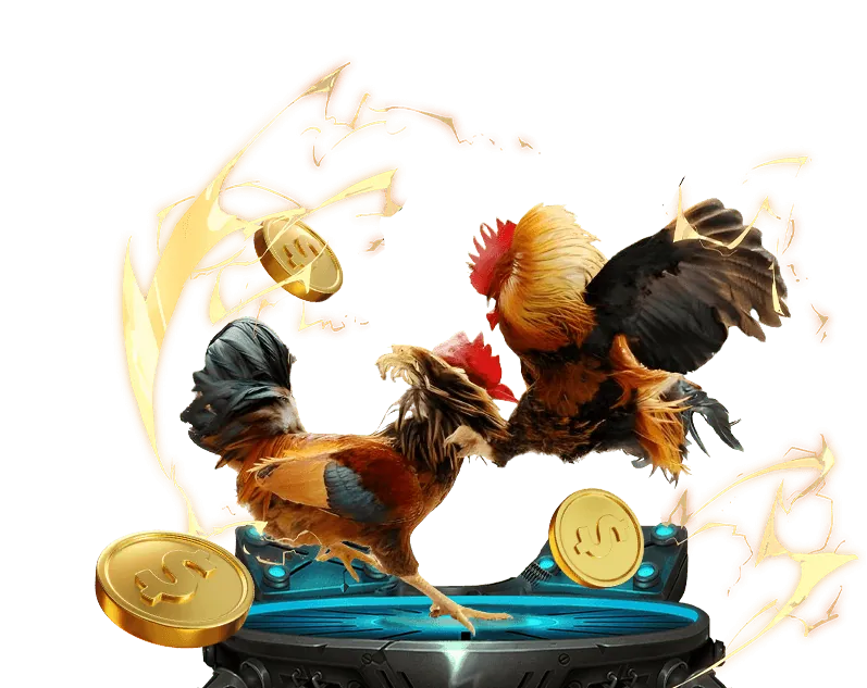 Liên hệ hỗ trợ EV88VN